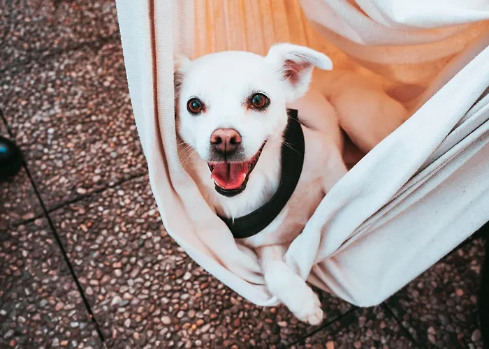 Hotel Britannia Génova