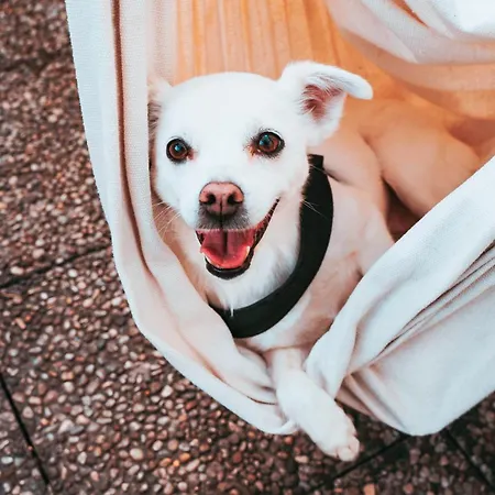 מלון Britannia ג'נובה